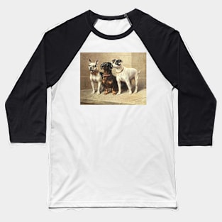 Three Watchful Dogs by Carl Reichert Baseball T-Shirt